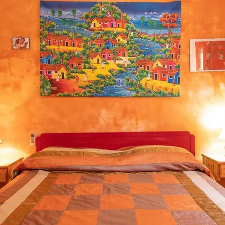 Delle Amache