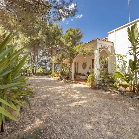 Delle Amache